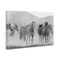 Stupell Industries Running Horse Herd Canvas Wall Art Design by Kim Allen